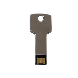 Anahtar USB Bellek 8 GB